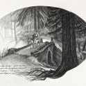 Серия М.Ю. Лермонтов Имение Середниково (10)