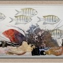 Тайны красного моря Лист 6 32х50 2006